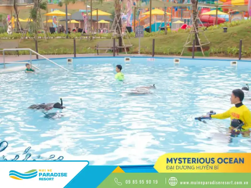 Đại Dương Huyền Bí – Mysterious Ocean