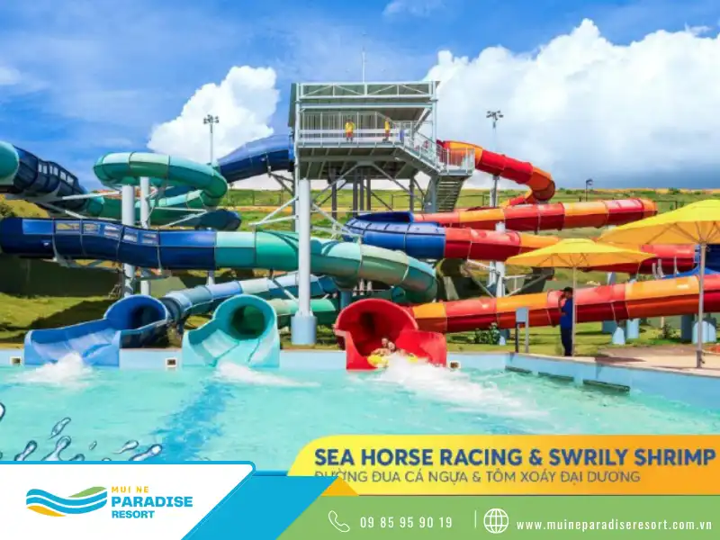 Đường Đua Cá Ngựa & Tâm Xoáy Đại Dương – Seahorse Racing & Swirly Shrimp