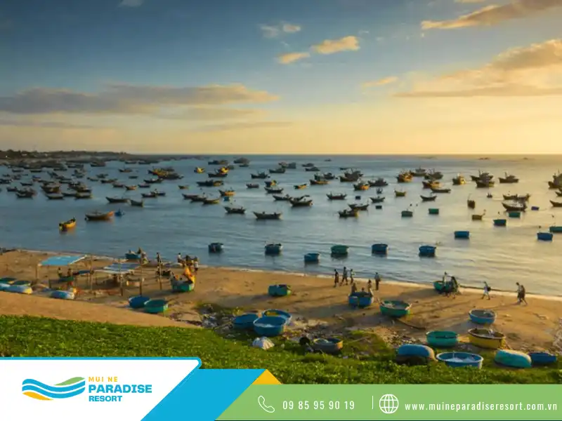 Ngắm bình minh tại Ghềnh đá Mũi Né