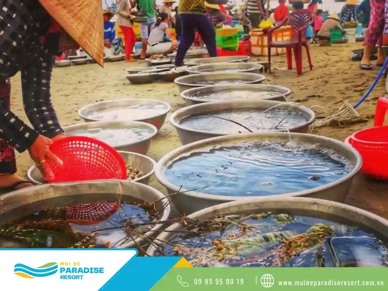 Hải sản tươi sống trên bãi biển