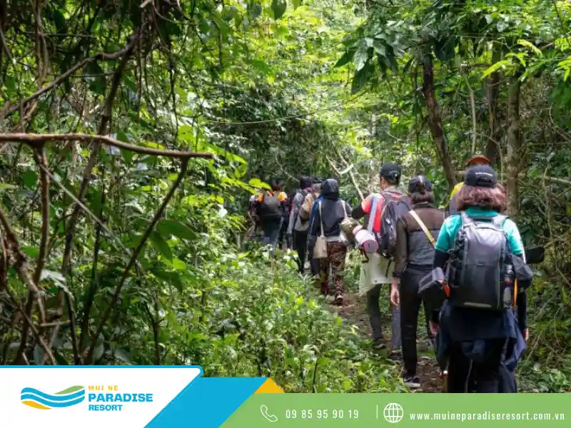 Trải nghiệm Trekking Núi Tà Cú