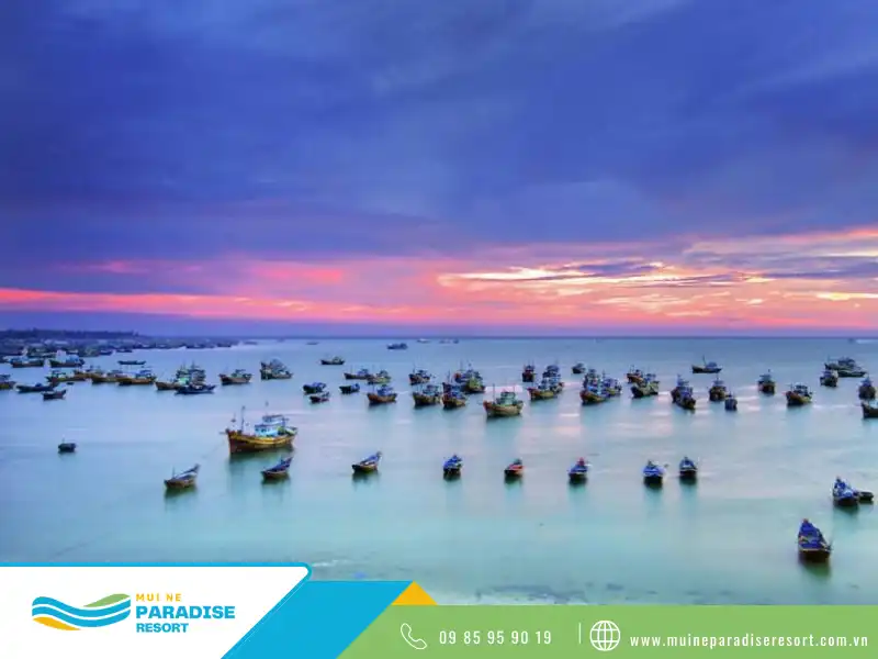 Bãi biển đẹp tại Mũi Né