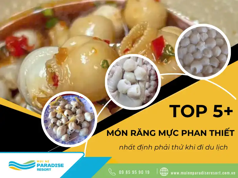 Răng mực Phan Thiết