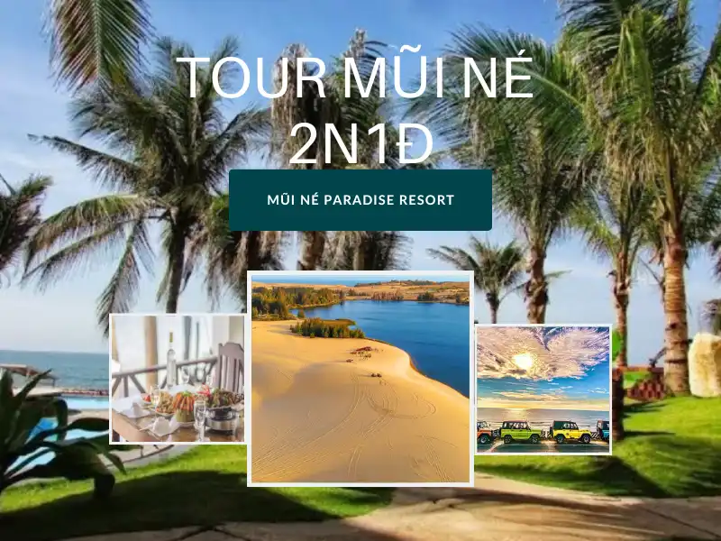 Tour Mũi Né 2N1Đ