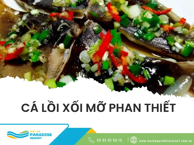 Cá lồi xối mỡ phan thiết