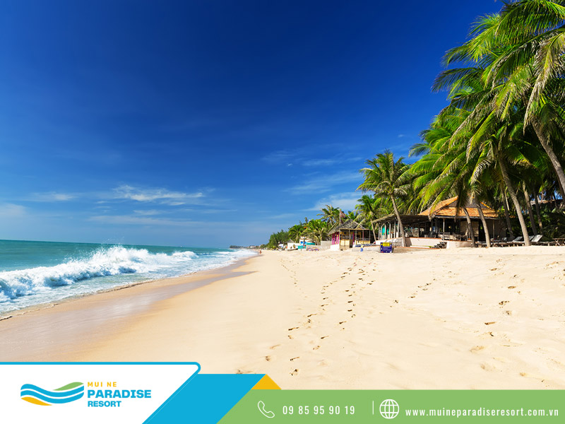 Du lịch Phan Thiết cho gia đình - Từ những bãi tắm hiền hòa đến các điểm tham quan nổi tiếng, tất cả tạo nên một chuyến đi du lịch Phan Thiết cho gia đình trọn vẹn.