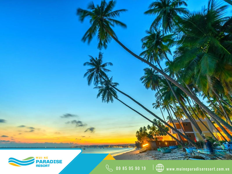 Du lịch Phan Thiết cho gia đình - Những bãi biển Mũi Né nổi tiếng với vẻ đẹp yên bình, nước trong xanh và bờ cát mềm.