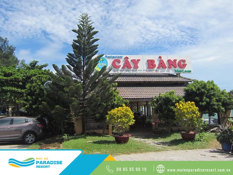 Mũi Né 맛집 해산물 레스토랑 - Cây Bàng Phan Thiết