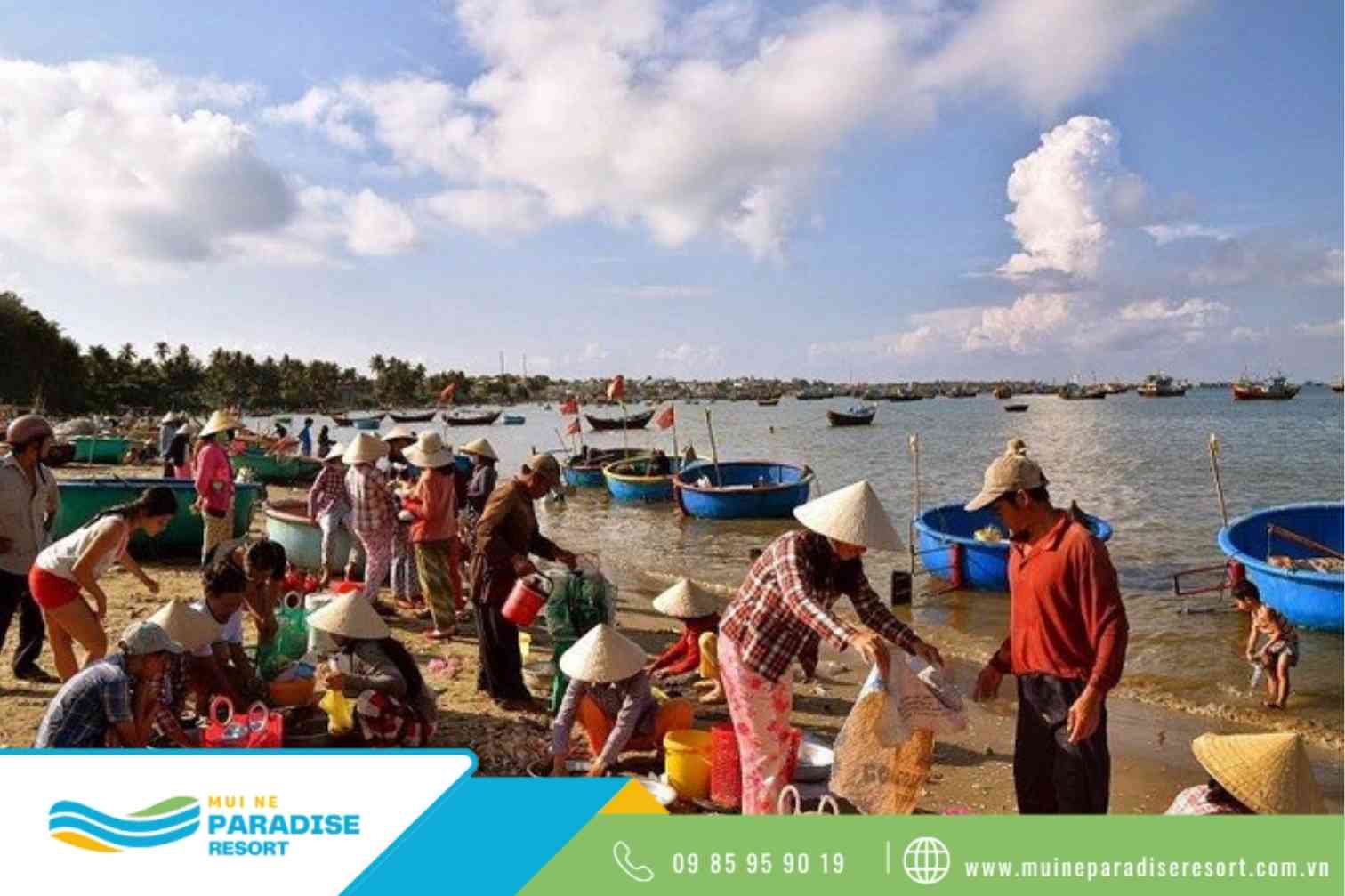 Du lịch Mũi Né có gì - Hoạt động nhộn nhịp buổi sáng tại làng chài Mũi Né