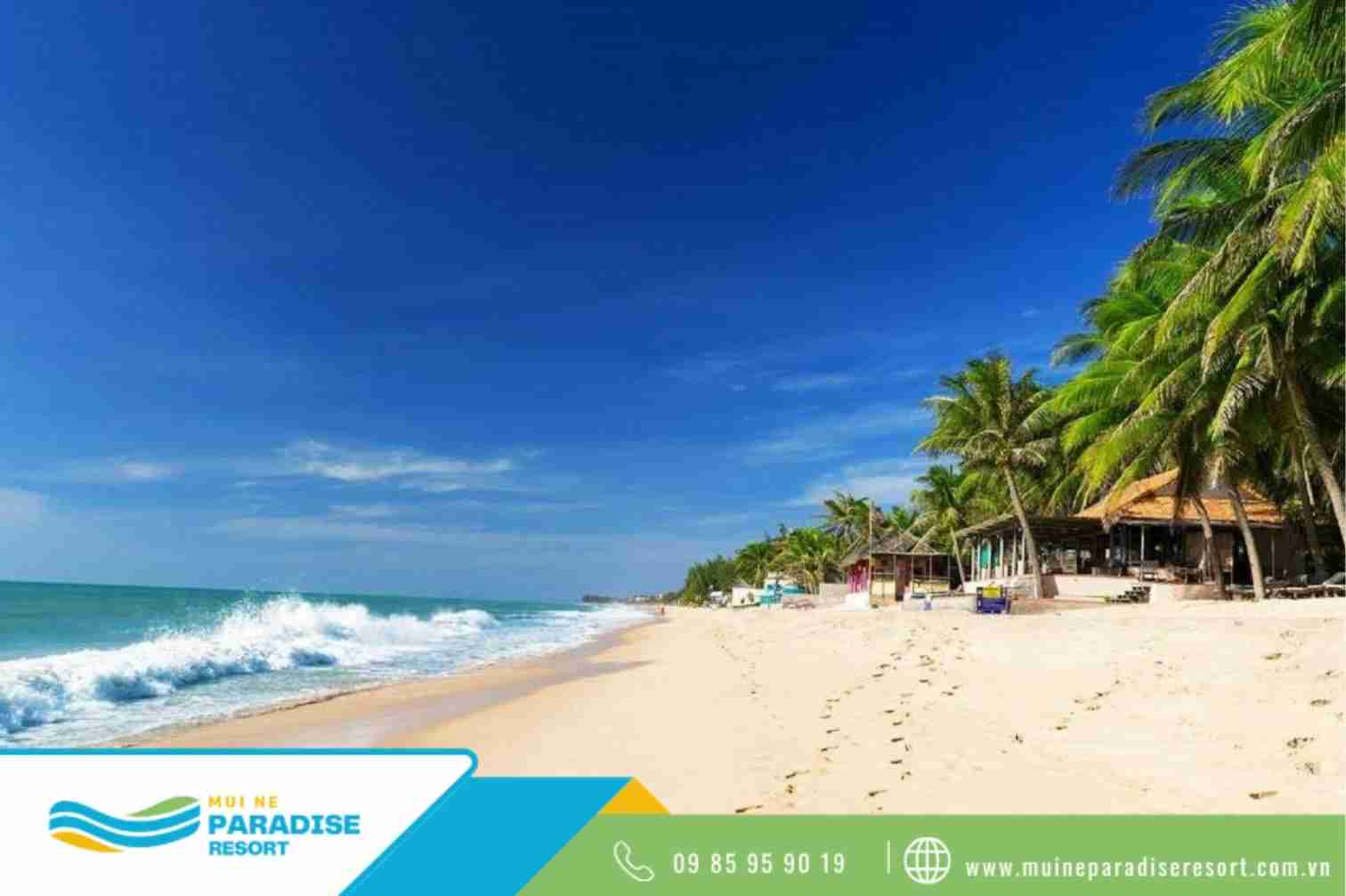 Team building Mũi Né - Mũi Né có lợi thế nhờ bờ biển dài rộng và khí hậu khô ráo