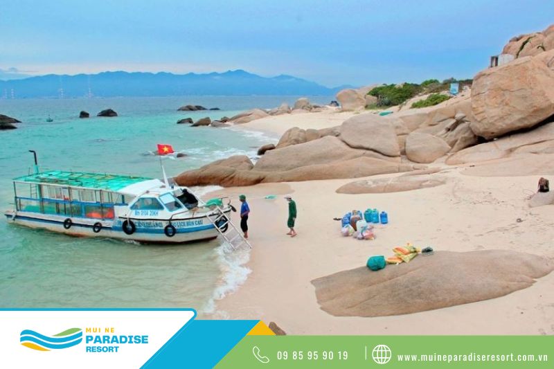 Khám phá Cù Lao Câu - Có thể chọn đi tàu cano hoặc thuyền của ngư dân