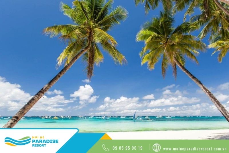 Những điểm tham quan ở Mũi Né - Mũi Né nổi bật với bờ biển xanh trong