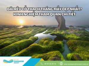 Bãi rêu Cổ Thạch
