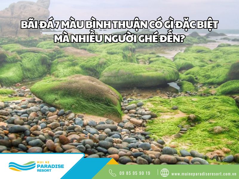 Bãi đá 7 màu