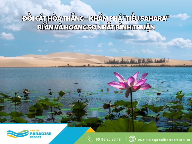 Đồi Cát Hòa Thắng
