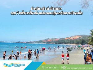 ở mũi né có gì chơi