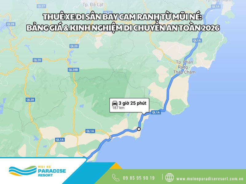 Thuê Xe Đi Sân Bay Cam Ranh
