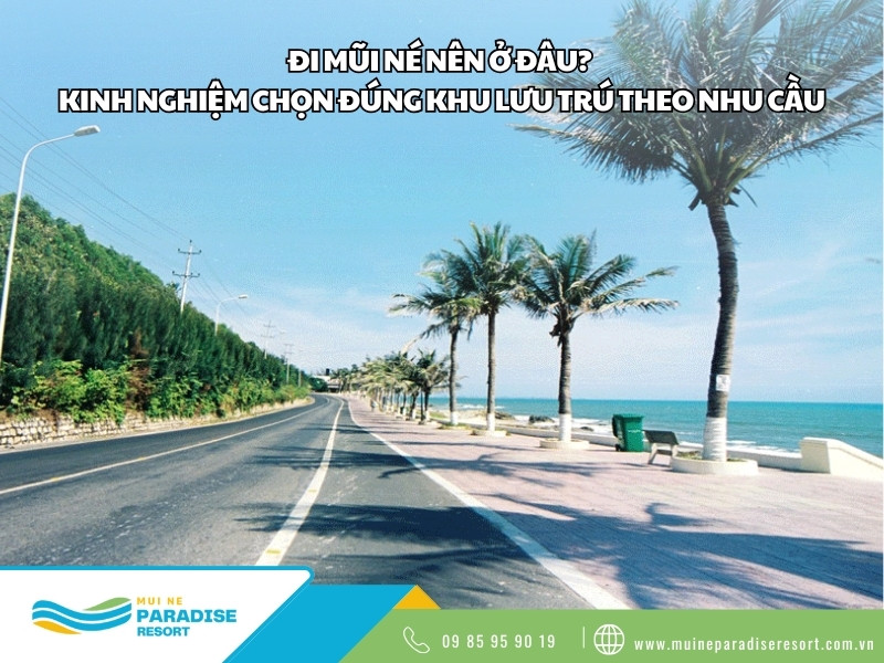Đi Mũi Né Nên Ở Đâu