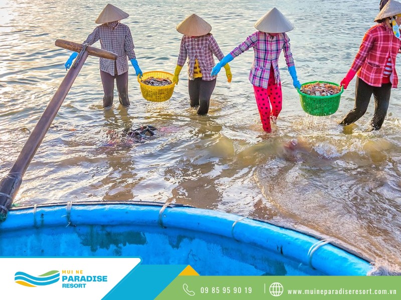 Du Lịch Biển Mũi Né - Ngư dân thu gom hải sản mới đánh bắt được