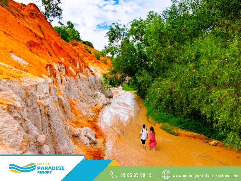 Hoạt Động Trải Nghiệm Ở Mũi Né - Tham quan, khám phá Suối Tiên