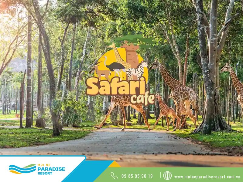 Safari Cafe - cafe bán hoang dã tại Phan Thiết
