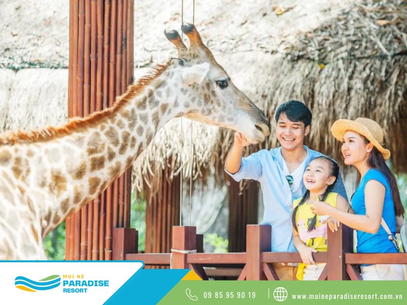 Safari Cafe phù hợp với gia đình có trẻ nhỏ