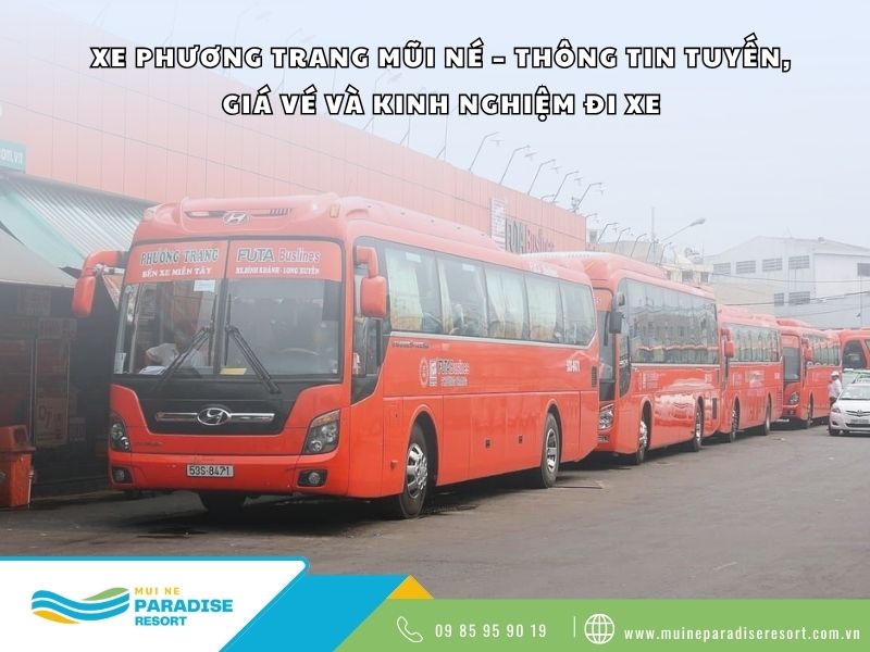 Xe Phương Trang Mũi Né